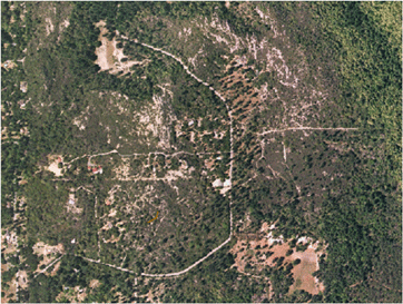 Sandhills of the Bonny Doon Ecological Reserve in 2003