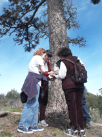 Sandhills natural history hike