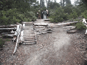 Mountain bike jumps created in Sandhills habitat