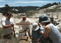 S.A.N.D. members conduct scientific research on the Mount Hermon June Beetle