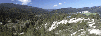 Sandhills ridge in foreground, redwood forest in distance